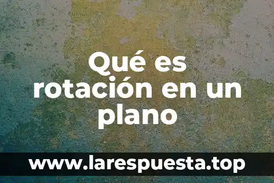 Qué es rotación externa del hombro 6 Qué es rotación en un plano