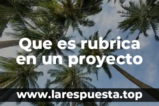 Que es rubrica en un proyecto