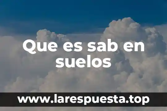 Agujero estenopeico que es 4 Que es sab en suelos