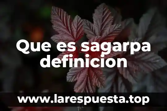 Que es sagarpa definicion