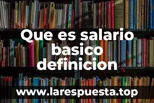 Que es salario basico definicion