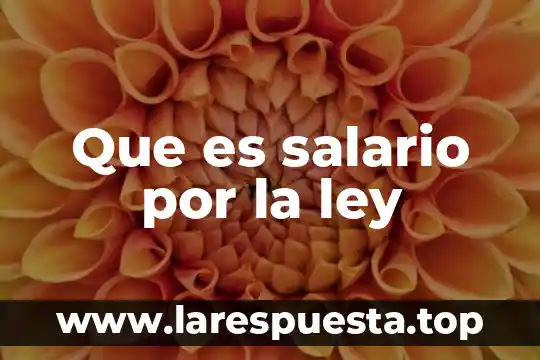 Que es la violencia segun la ley 7 Que es salario por la ley