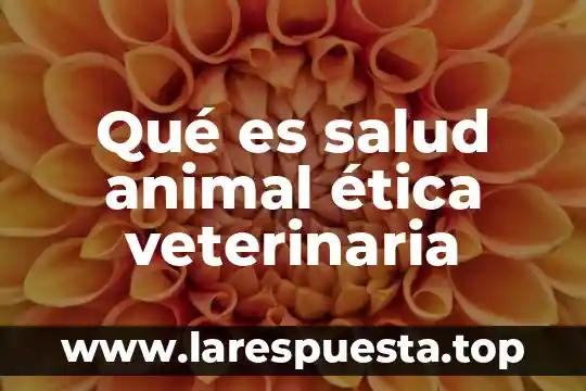 Qué es salud animal ética veterinaria