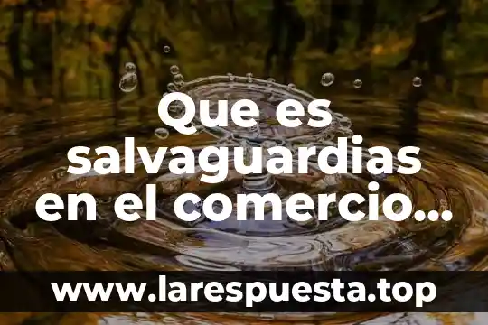 Que es marketing y comercio internacional 4 Que es salvaguardias en el comercio internacional