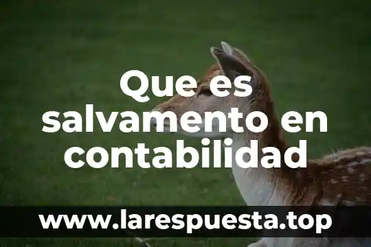 Que es salvamento en contabilidad