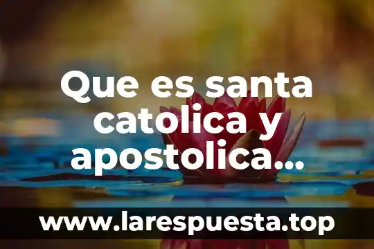 Que es santa catolica y apostolica resumen