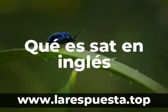 Qué es sat en inglés