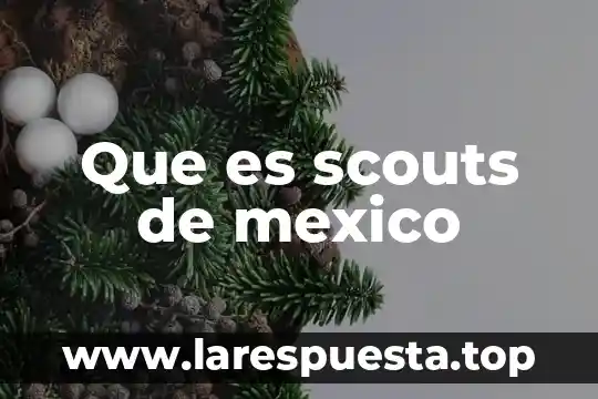 Que es scouts de mexico