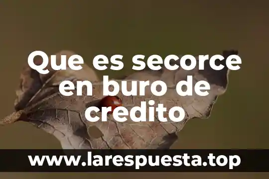Que es el formato intl de buro credito 3 Que es secorce en buro de credito