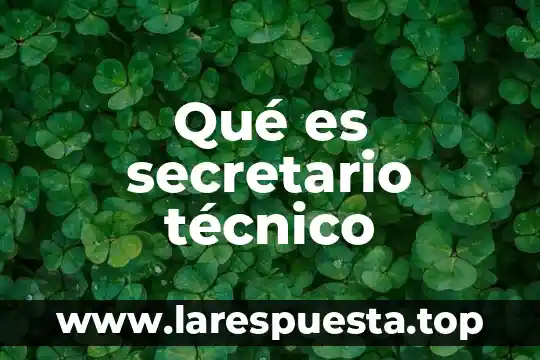 Que es un instructivo tecnico 7 Qué es secretario técnico