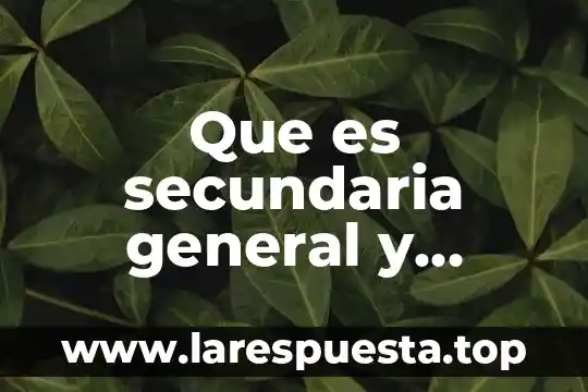 Centro estatal de salud mental que es 4 Que es secundaria general y estatal