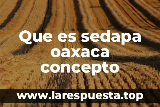 Natación que es significado y concepto 4 Que es sedapa oaxaca concepto