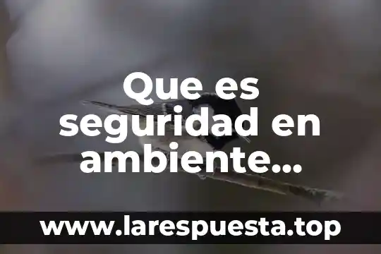 Que es el ambiente social en las novelas 5 Que es seguridad en ambiente laboral