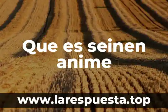 Que es vivir plenamente anime 3 Que es seinen anime