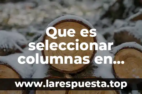 Que es seleccionar columnas en excel