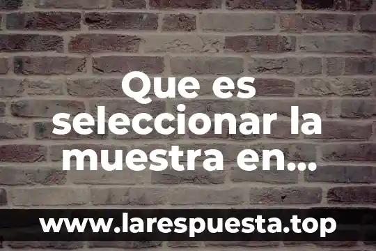 Que es seleccionar columnas en excel 3 Que es seleccionar la muestra en una investigación