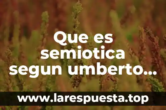Que es eco en electronica 3 Que es semiotica segun umberto eco