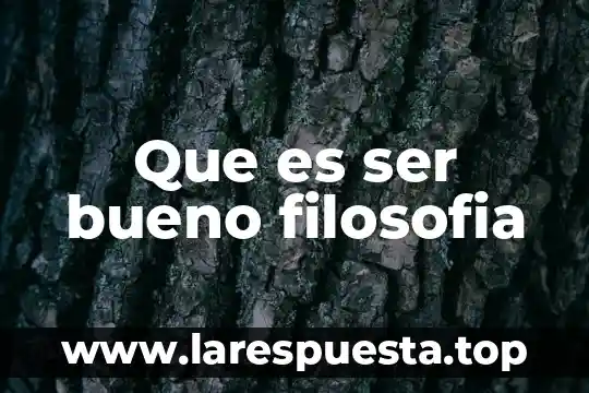 Que es ser bueno filosofia