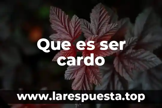 Que es ser cardo