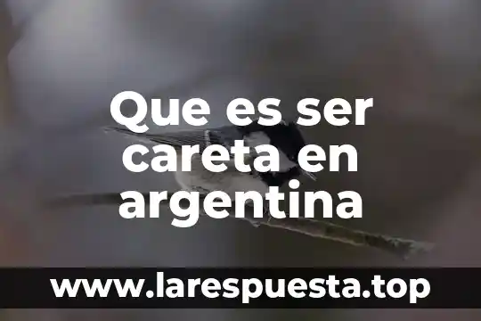 Que es ser careta en argentina