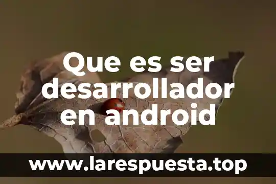 Que es el liderazgo desarrollador 6 Que es ser desarrollador en android