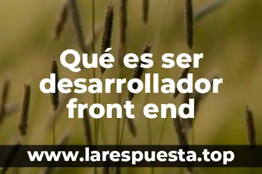 Desarrollador jr que es 7 Qué es ser desarrollador front end