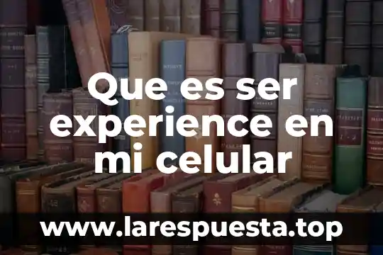 Que es el modo accesibilidad de celular aiwa 7 Que es ser experience en mi celular