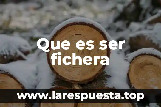 Que es ser fichera