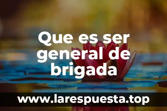 Que es ser general de brigada