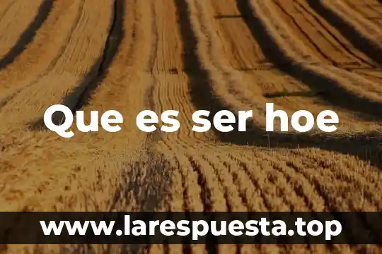 Que es ser hoe