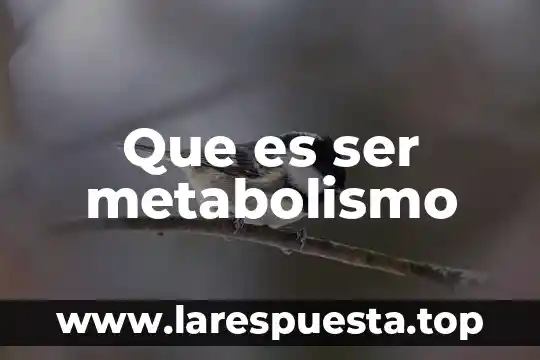 Que es ser metabolismo
