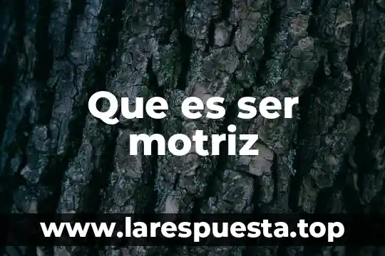 Que es ser motriz
