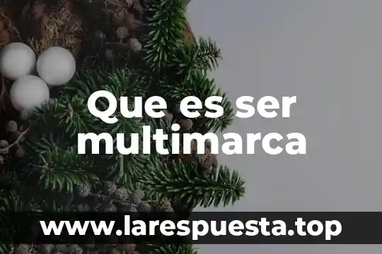 Que es ser multimarca