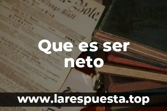 Que es ser adulto a adulto mayor 7 Que es ser neto