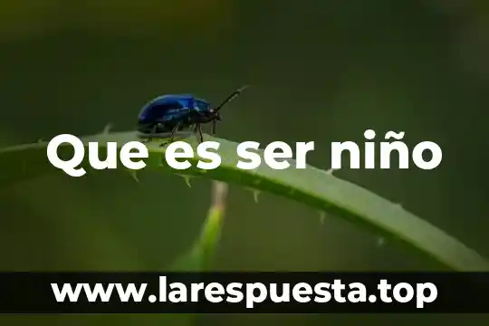 Que es ser niño