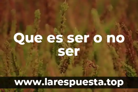 Que es ser o no ser