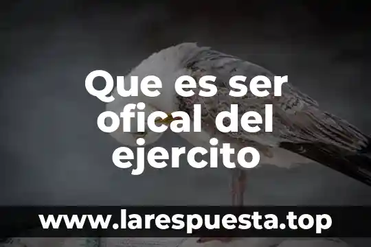 Que es ser ofical del ejercito