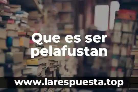 Que es y para que puede ser util 6 Que es ser pelafustan