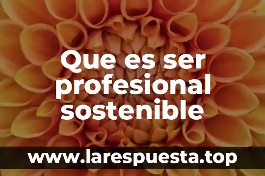 Qué es ser buchón 3 Que es ser profesional sostenible