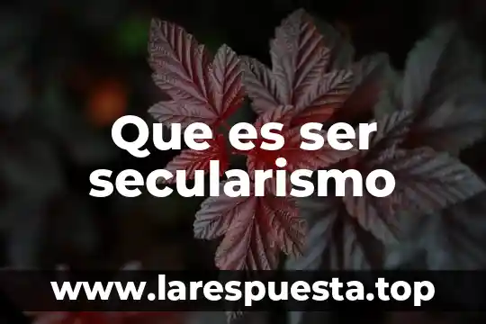 Que es ser secularismo