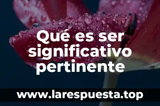 Qué es ser significativo pertinente