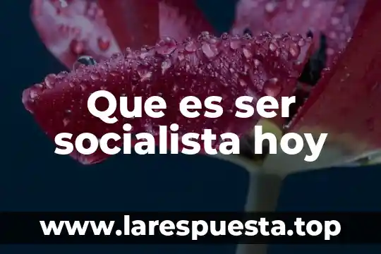 Que es ser socialista hoy