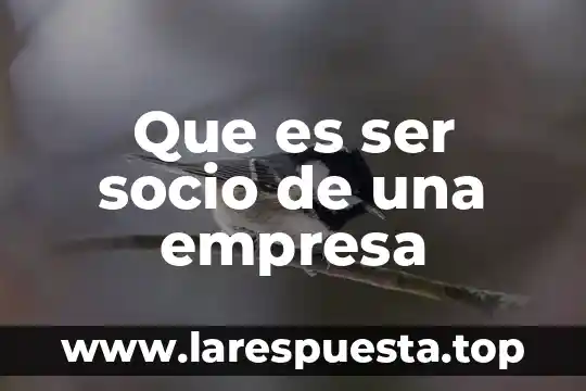 Que es ser socio de una empresa
