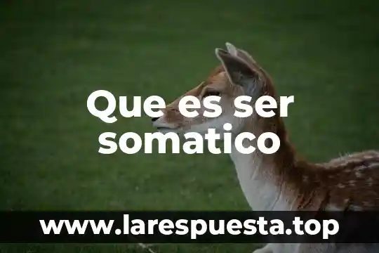 Que es ser somatico