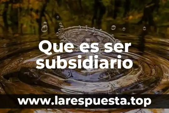 Que es ser subsidiario