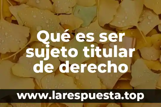 Qué es sujeto de investigación según autores 5 Qué es ser sujeto titular de derecho