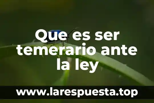 Que es ser temerario ante la ley