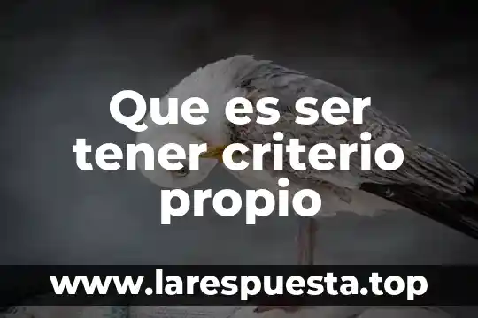 Tener un plan por que es importante 6 Que es ser tener criterio propio