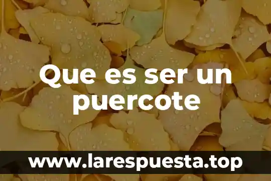 Que es ser un puercote
