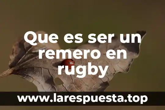 Modelo de la copa de champán que es 6 Que es ser un remero en rugby